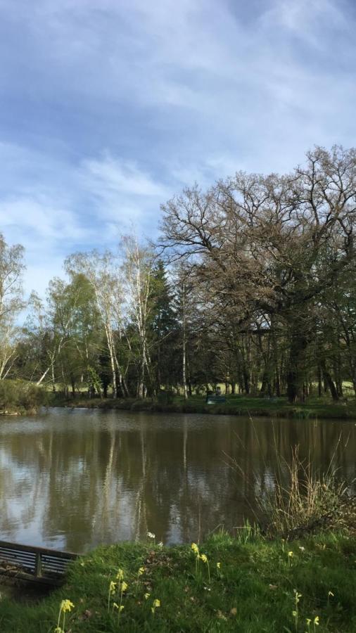 Le Gite Du Petit Renard: A Tranquil Gite With Pool Oradour-Saint-Genest Esterno foto