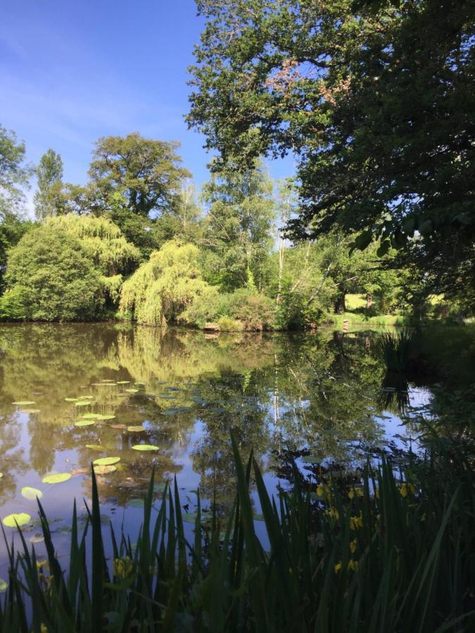 Le Gite Du Petit Renard: A Tranquil Gite With Pool Oradour-Saint-Genest Esterno foto