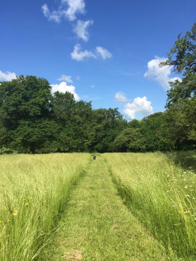 Le Gite Du Petit Renard: A Tranquil Gite With Pool Oradour-Saint-Genest Esterno foto