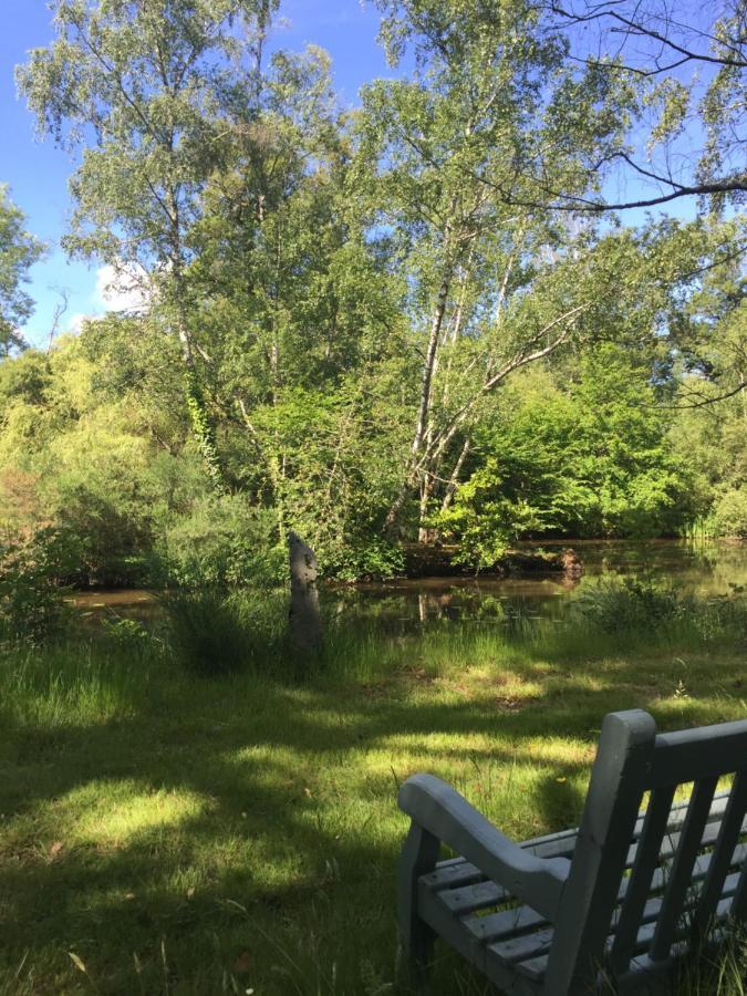 Le Gite Du Petit Renard: A Tranquil Gite With Pool Oradour-Saint-Genest Esterno foto